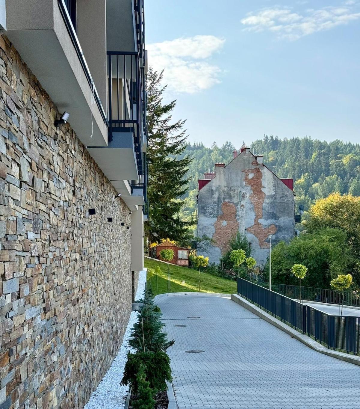 Family & Friends Art Piekny Widok Z Garazem
